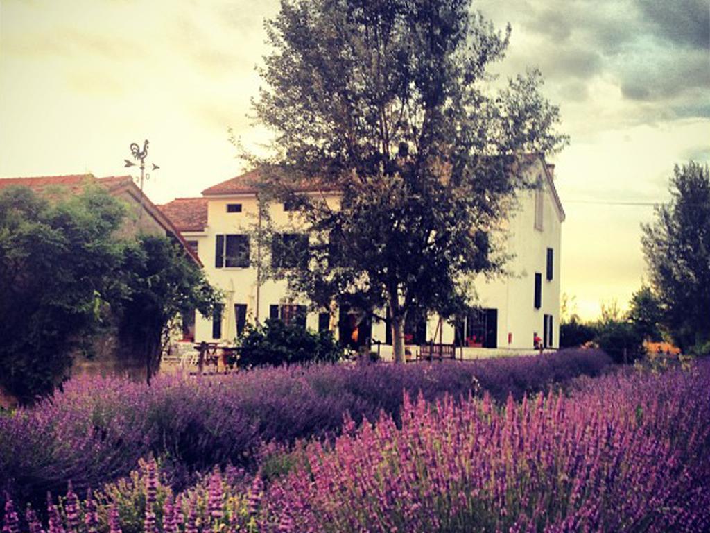 Agriturismo Viridarium Castellucchio Eksteriør bilde