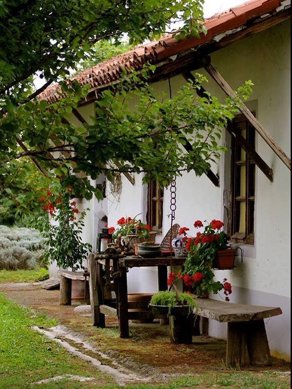 Agriturismo Viridarium Castellucchio Eksteriør bilde